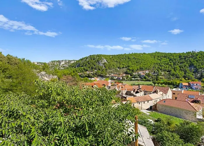 Vista By Guide * Bicine